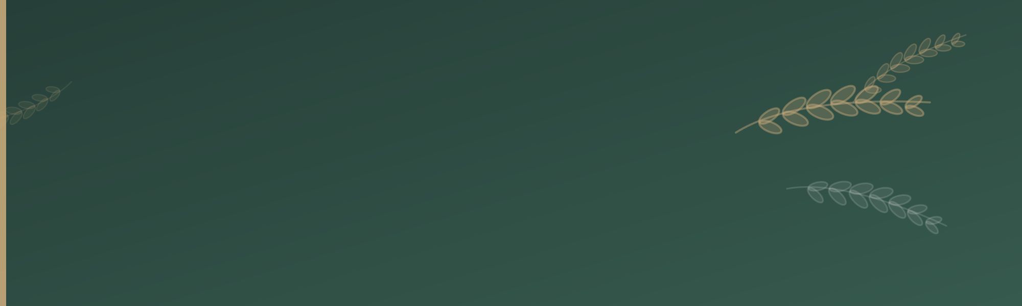 User banner image